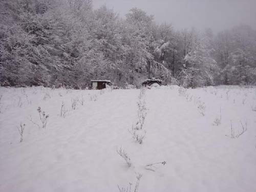 MONITORING PRVI KRUG 2010/2011 » REDAH MOSTAR
