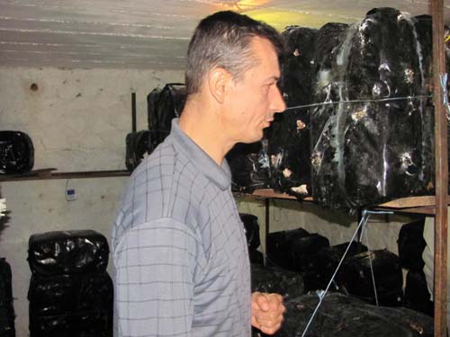 MONITORING TREÄ†I KRUG 2012/2013 Â» AR LEDA, ZENICA