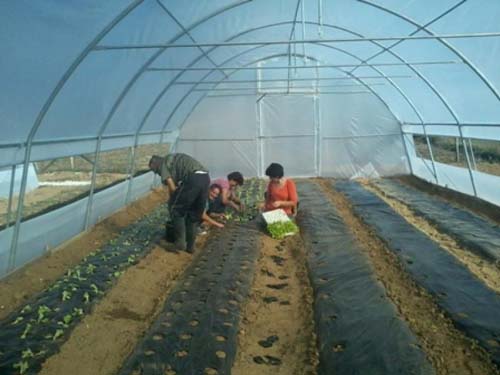 MONITORING ÄŒETVRTI KRUG 2013-2014 Â» UDRUÅ½ENJE VOLONTERA ZAJEDNO BOLJI, DONJI VAKUF