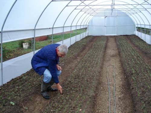 MONITORING ÄŒETVRTI KRUG 2013-2014 Â» UG BOSPER, TUZLA