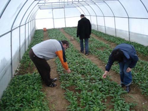 MONITORING ÄŒETVRTI KRUG 2013-2014 Â» UG BOSPER, TUZLA